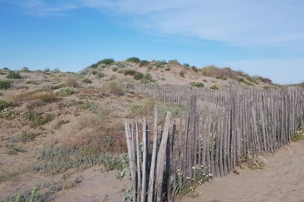 Marseillan-Plage Appartement Coeur De Sable Dış mekan fotoğraf